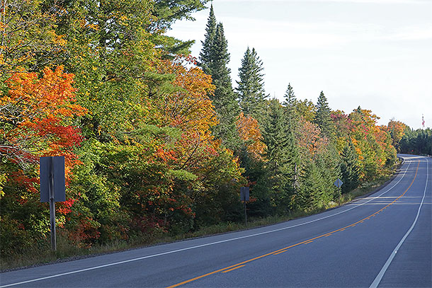 At km 0 of Highway 60 in Algonquin Park on September 15, 2025 (click to enlarge). 