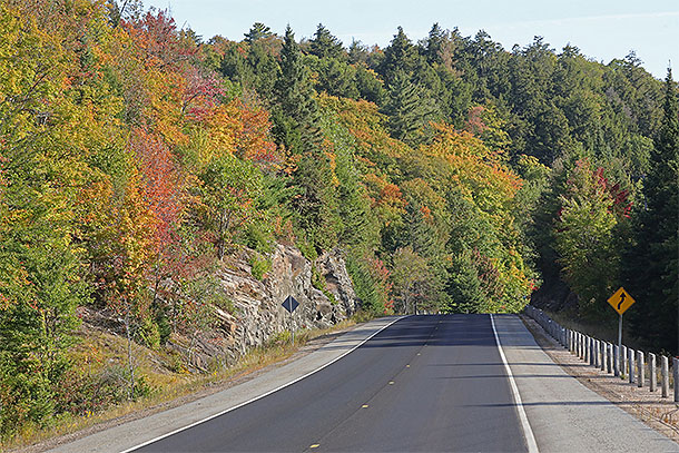 Fall colour along Highway 60 in Algonquin Park on September 15, 2025