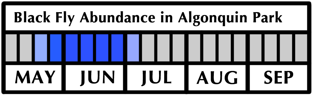 Black Fly Flight Period and Abundance in Algonquin Park