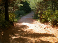 Kearney Campground Bridge