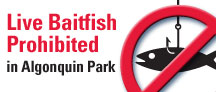 No Live Baitfish in Algonquin Park