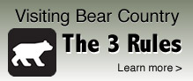 Visiting Bear Country