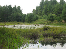 Berm Lake Trail