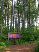 Berm Lake Trail