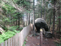 Big Pines Trail in Algonquin Park
