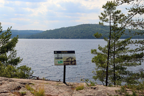 The Jack Pine Trail in Algonquin Park - The Location That Inspired Tom Thomson to Paint The Jack Pine