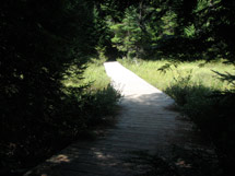 Peck Lake Trail
