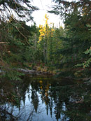 Whiskey Rapids Trail in Algonquin Park