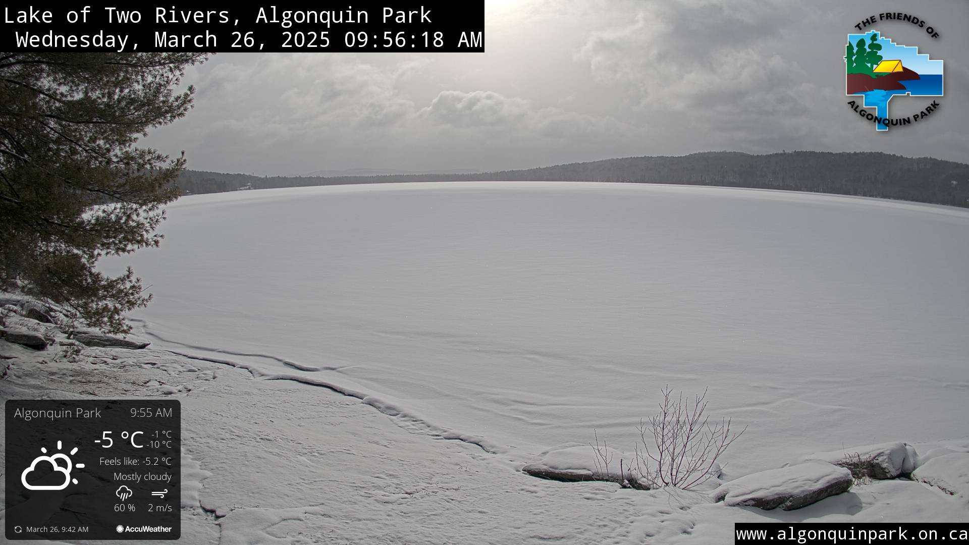 Image: Lake of Two Rivers in Algonquin Park on March 26, 2025 (click to enlarge)