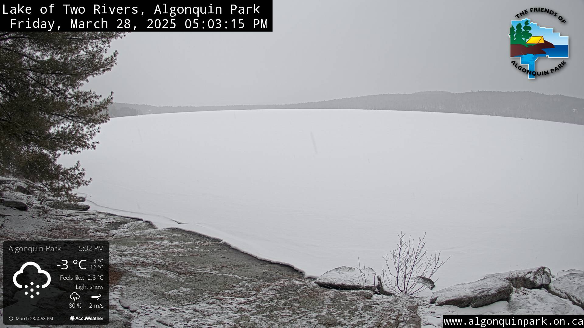 Image: Lake of Two Rivers in Algonquin Park on March 28, 2025 (click to enlarge).