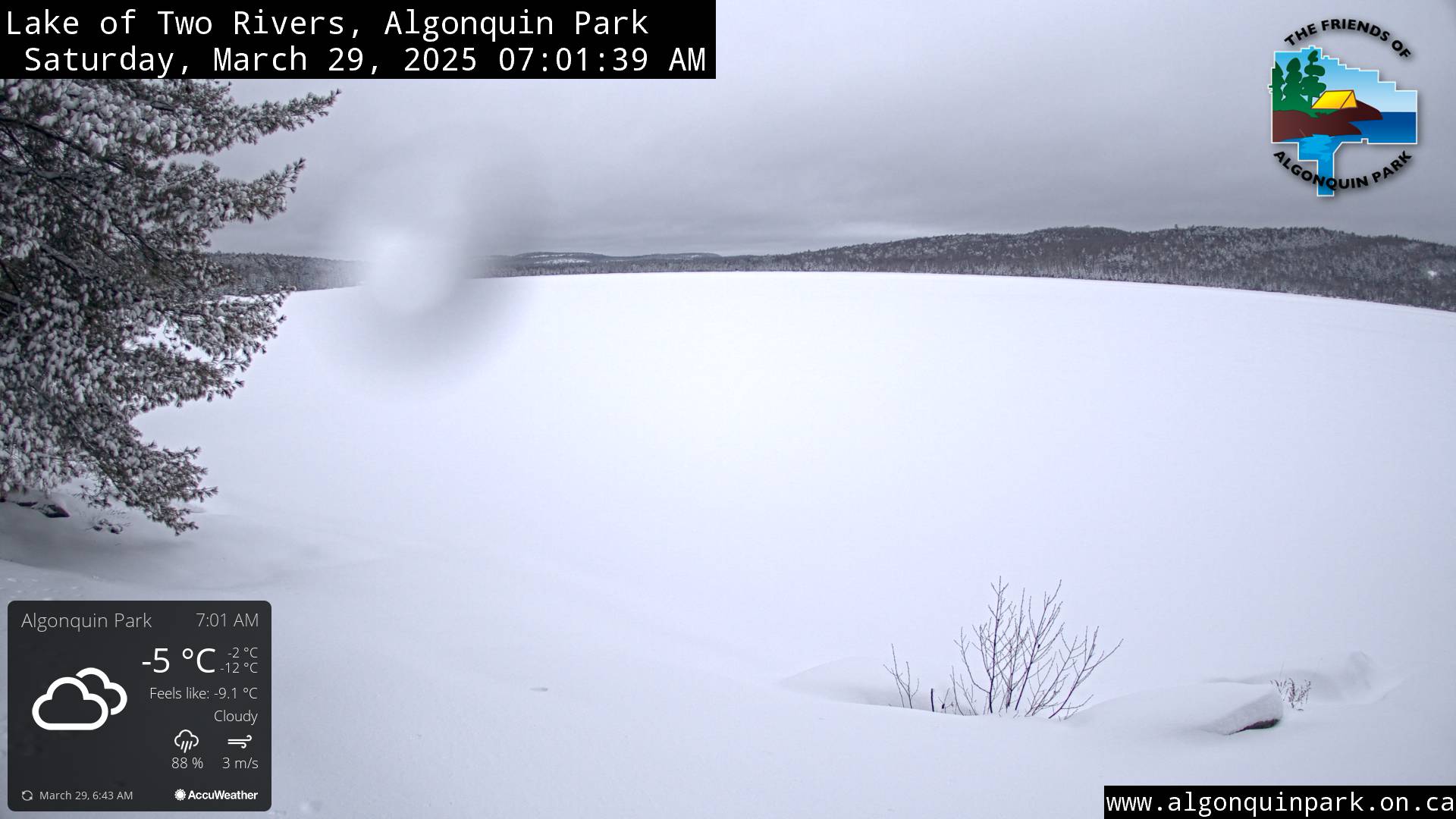 Image: Lake of Two Rivers in Algonquin Park on March 29, 2025 (click to enlarge).