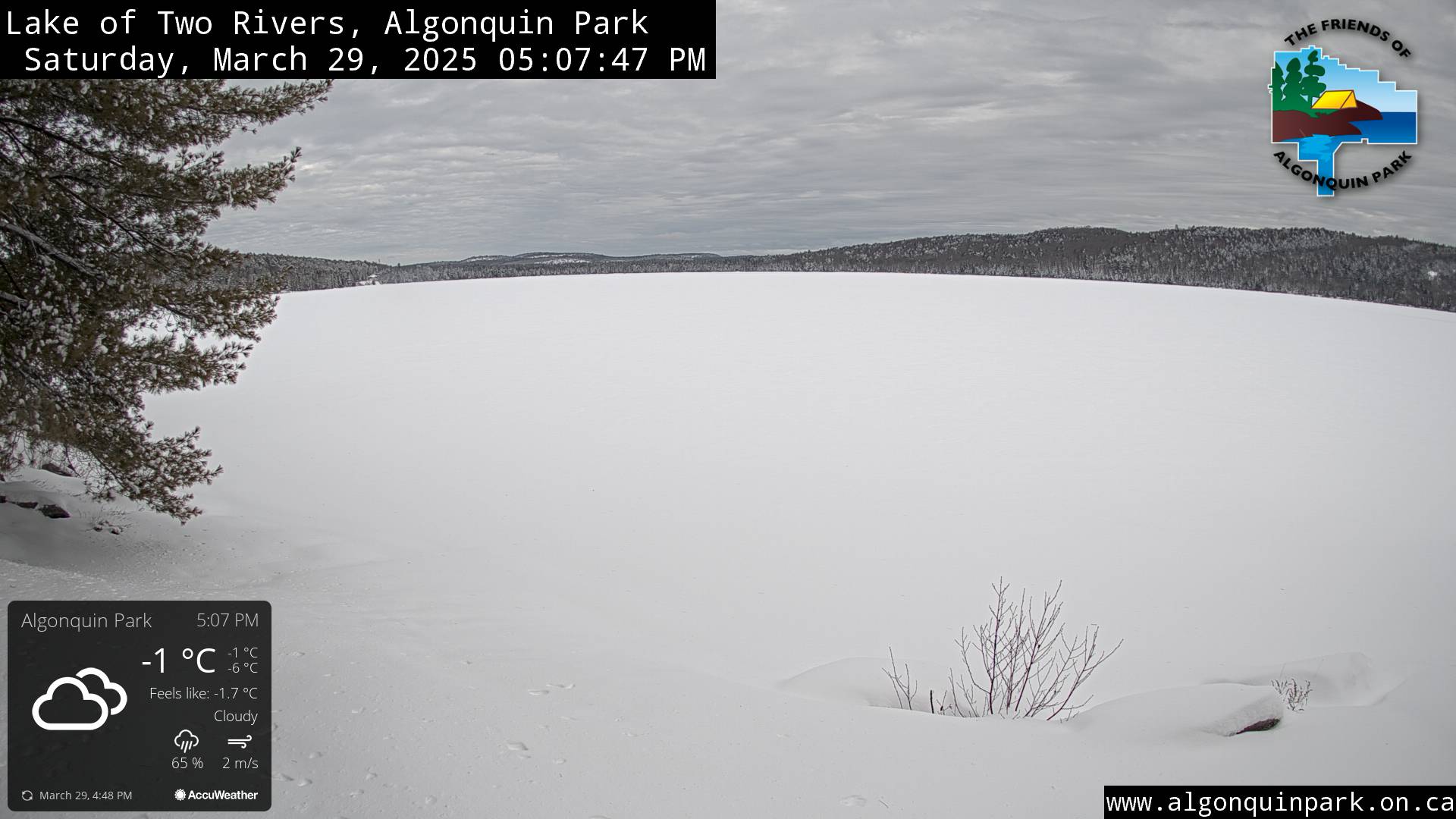 Image: Lake of Two Rivers in Algonquin Park on March 29, 2025 (click to enlarge).