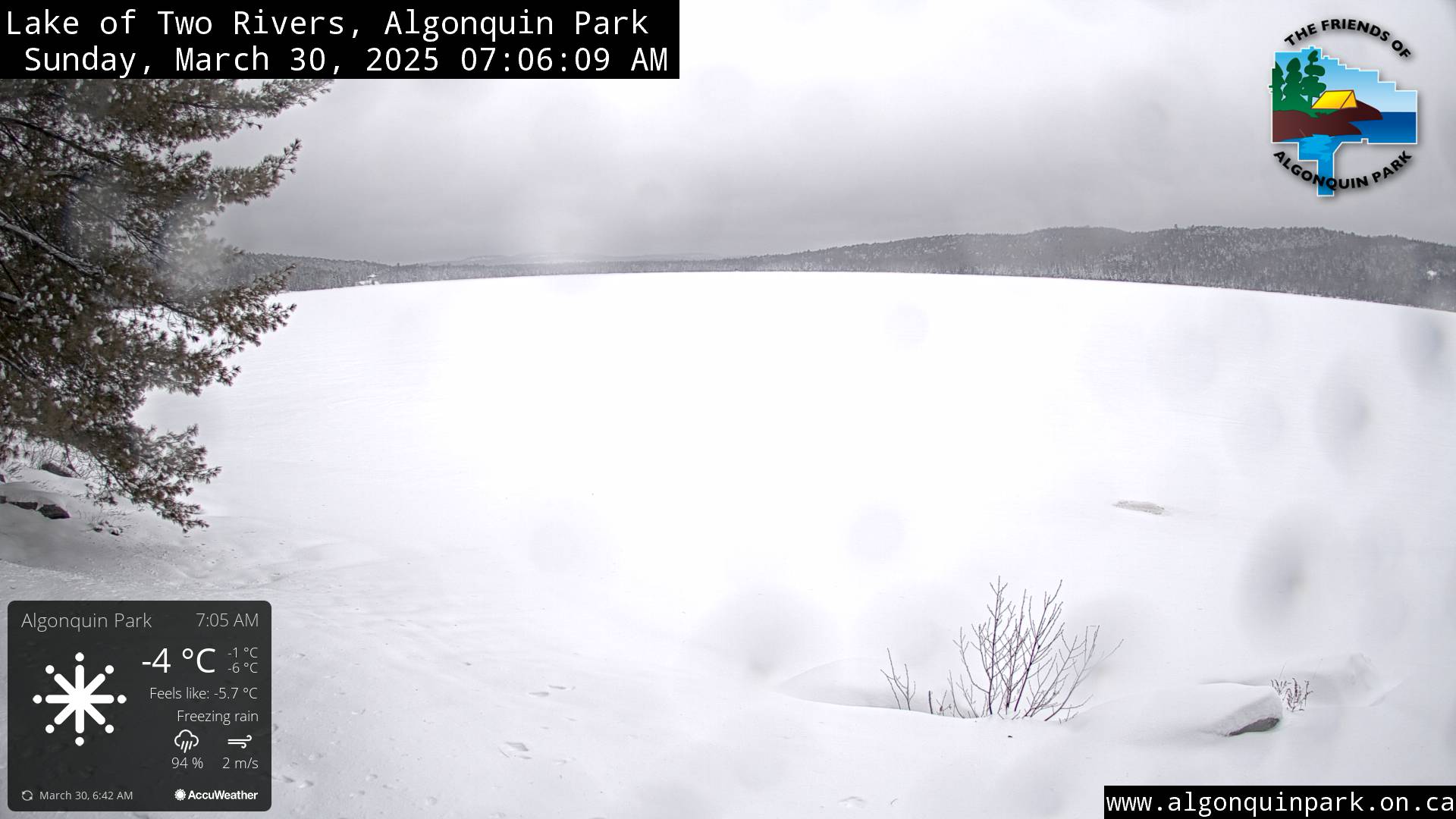 Image: Lake of Two Rivers in Algonquin Park on March 30, 2025 (click to enlarge).