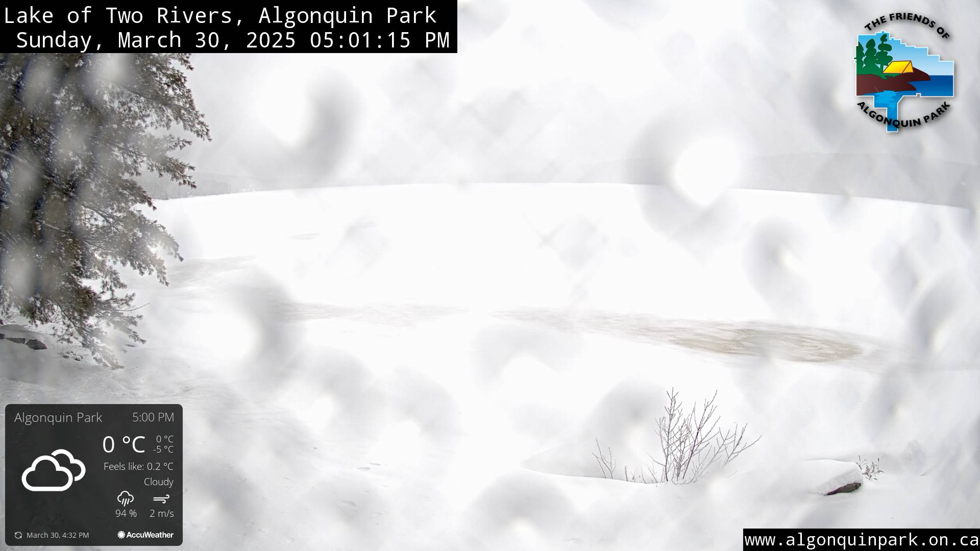 Image: Lake of Two Rivers in Algonquin Park on March 30, 2025 (click to enlarge).