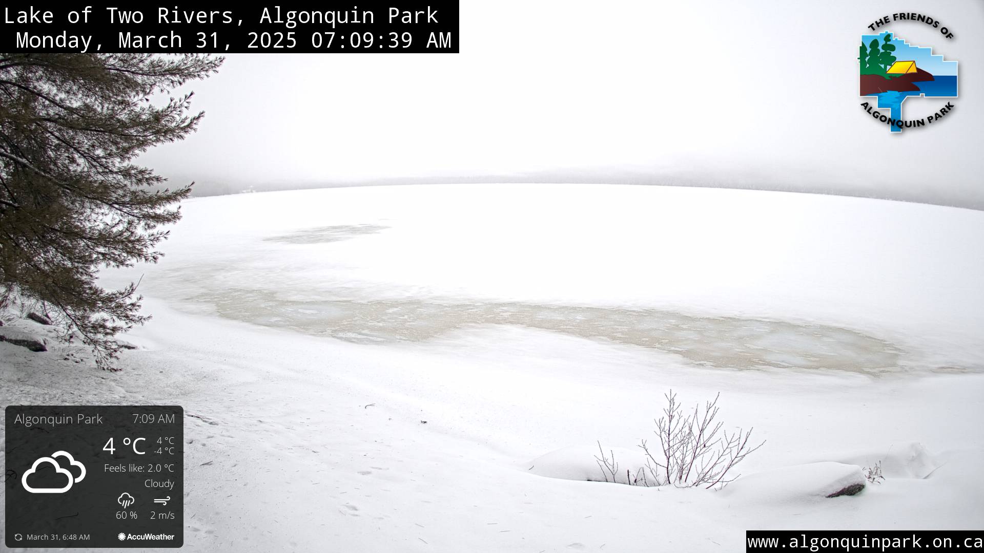 Image: Lake of Two Rivers in Algonquin Park on March 31, 2025 (click to enlarge).