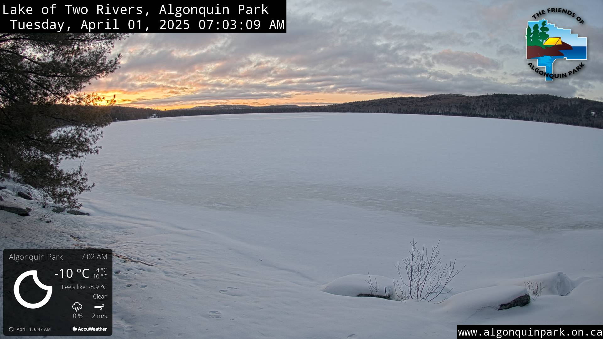 Image: Lake of Two Rivers in Algonquin Park on April 1, 2025 (click to enlarge).