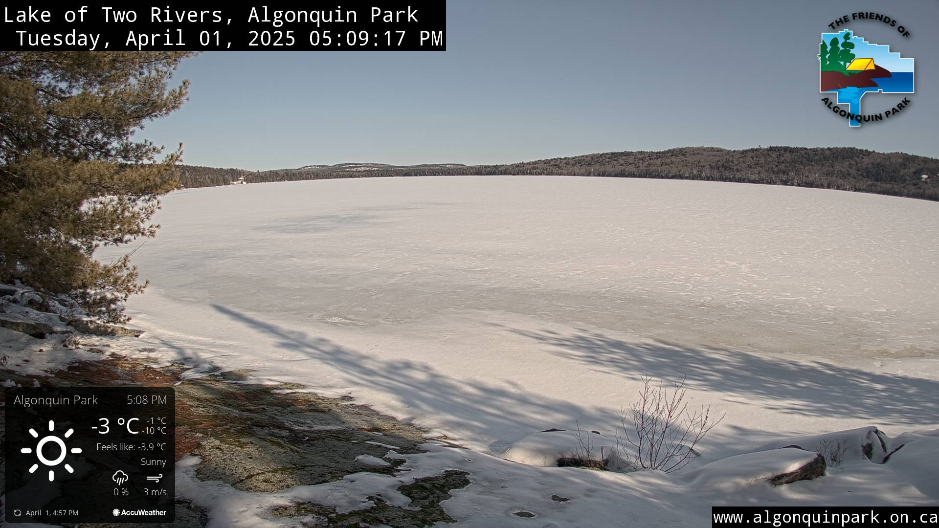 Image: Lake of Two Rivers in Algonquin Park on April 1, 2025 (click to enlarge).