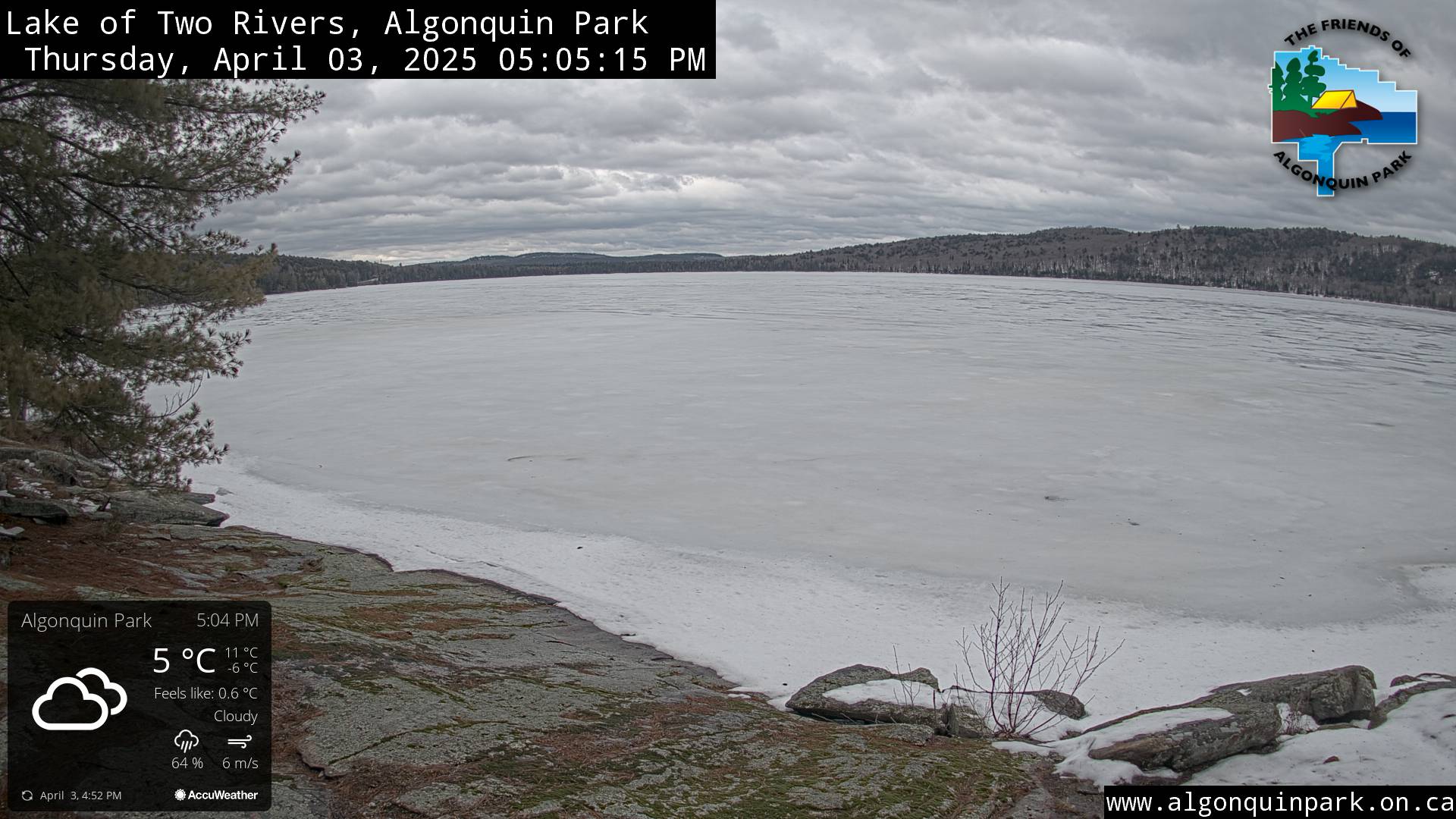Image: Lake of Two Rivers in Algonquin Park on April 3, 2025 (click to enlarge).