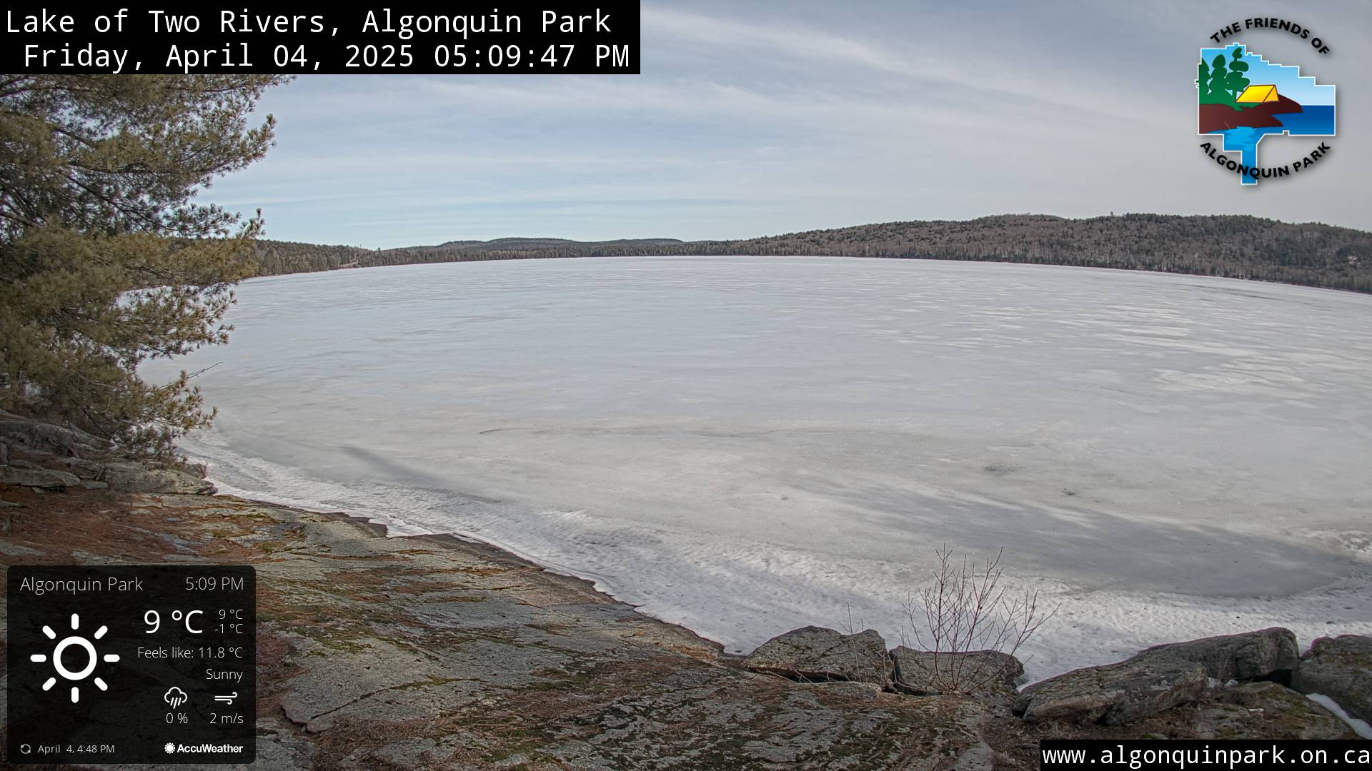 Image: Lake of Two Rivers in Algonquin Park on April 4, 2025 (click to enlarge).