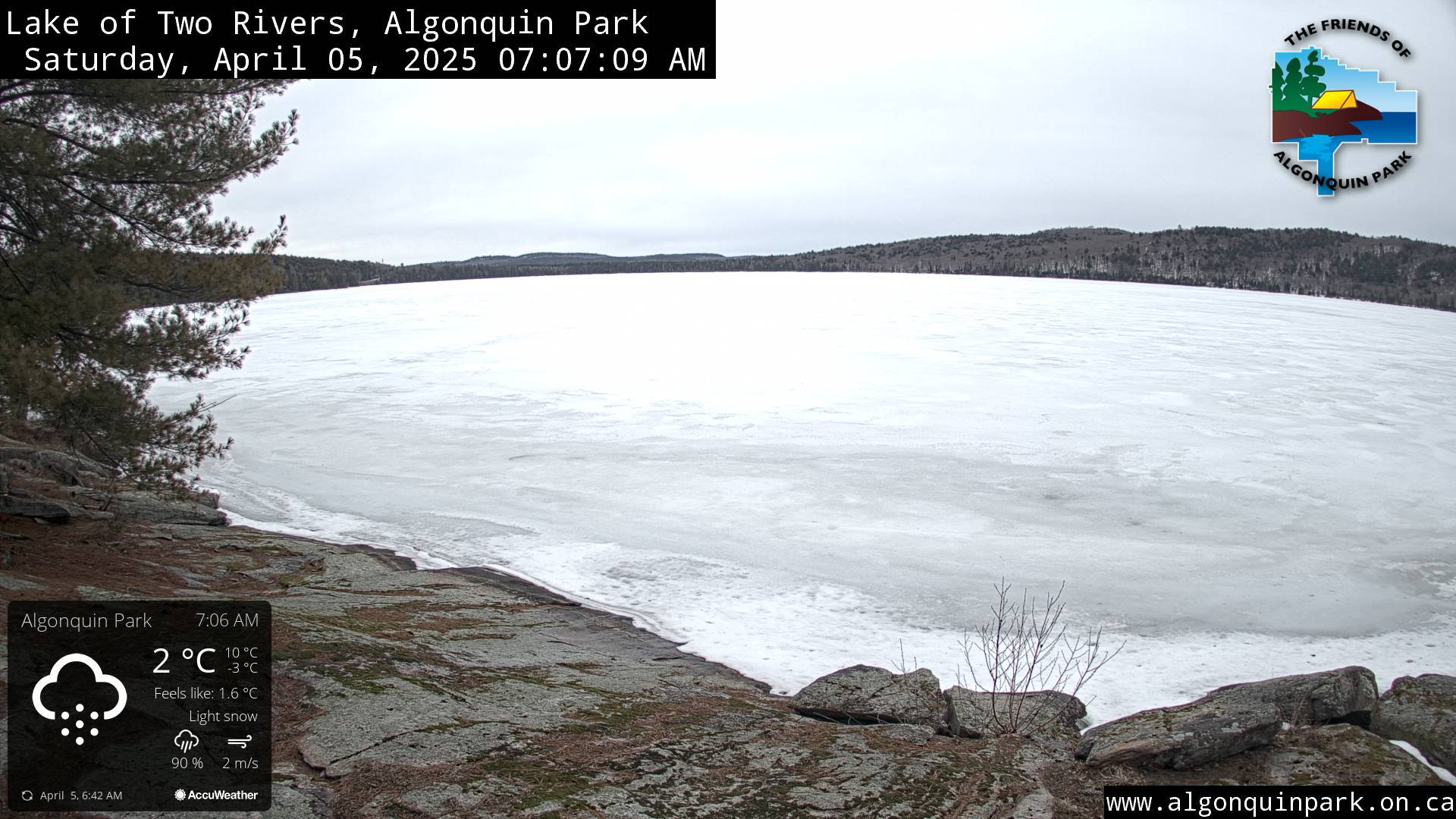 Image: Lake of Two Rivers in Algonquin Park on April 5, 2025 (click to enlarge).