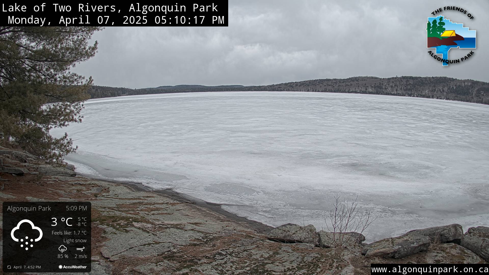 Image: Lake of Two Rivers in Algonquin Park on April 7, 2025 (click to enlarge).