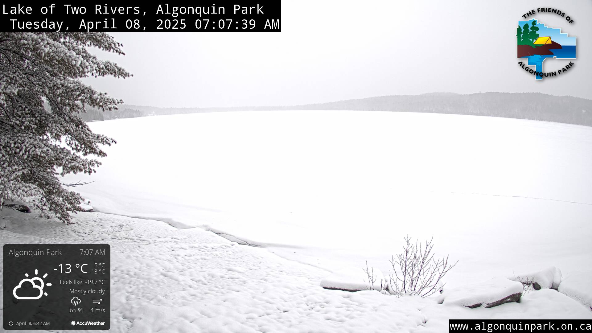 Image: Lake of Two Rivers in Algonquin Park on April 8, 2025 (click to enlarge).