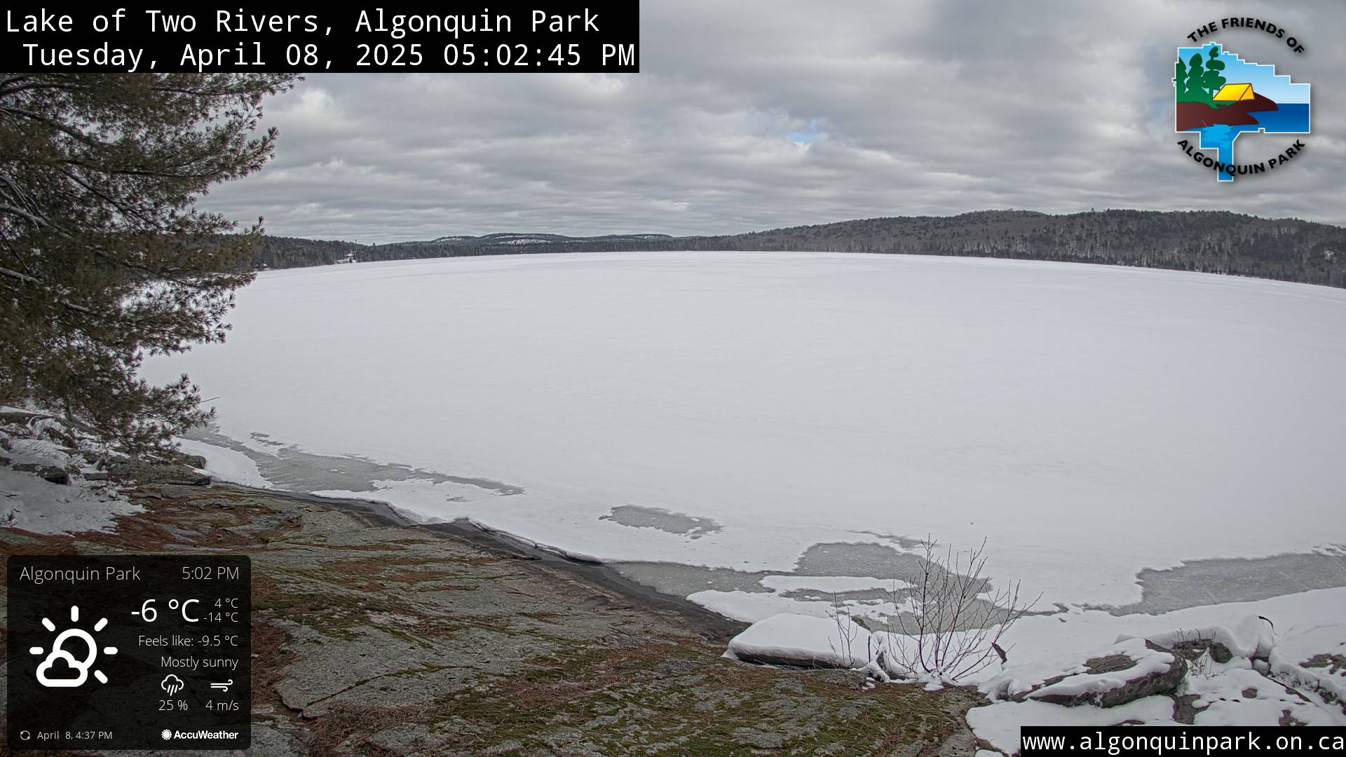 Image: Lake of Two Rivers in Algonquin Park on April 8, 2025 (click to enlarge).
