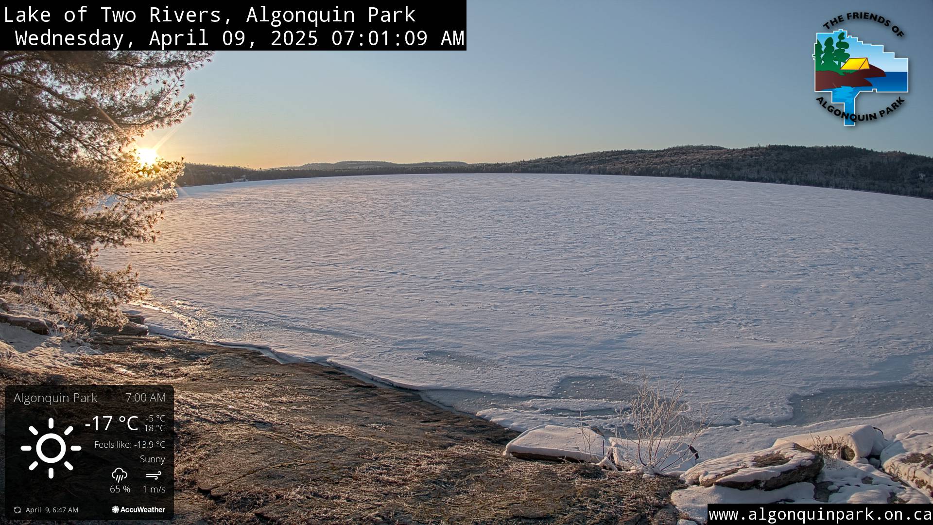 Image: Lake of Two Rivers in Algonquin Park on April 9, 2025 (click to enlarge).