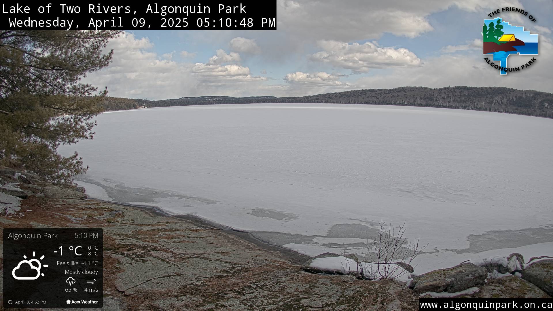 Image: Lake of Two Rivers in Algonquin Park on April 9, 2025 (click to enlarge).