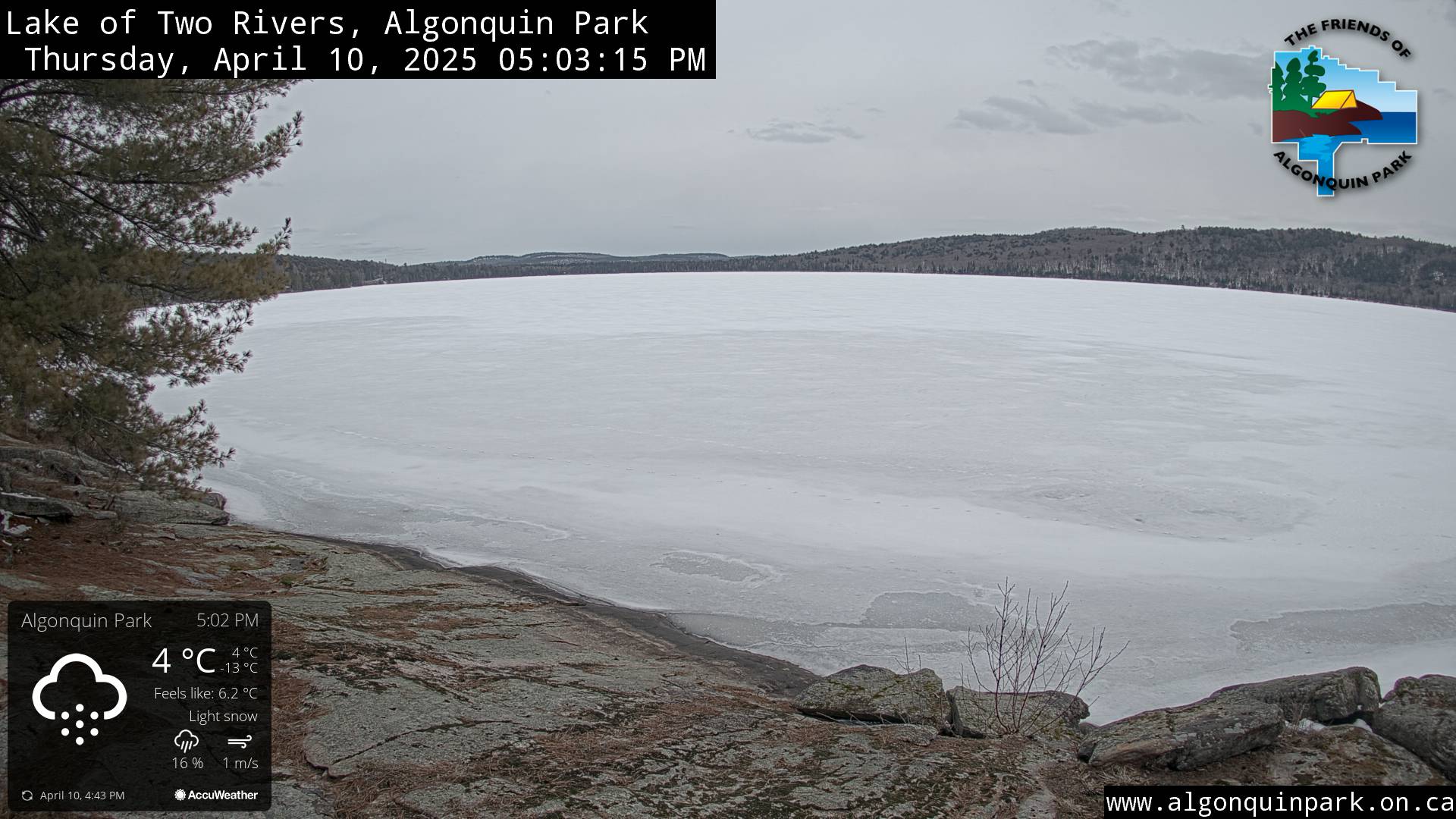 Image: Lake of Two Rivers in Algonquin Park on April 10, 2025 (click to enlarge).
