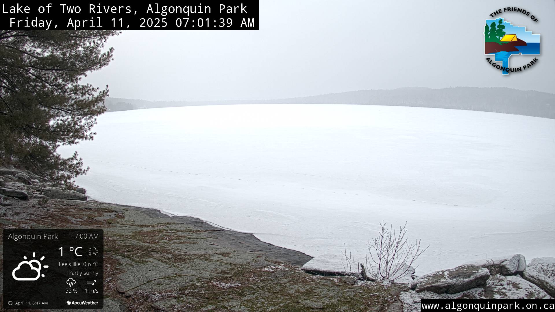 Image: Lake of Two Rivers in Algonquin Park on April 11, 2025 (click to enlarge).