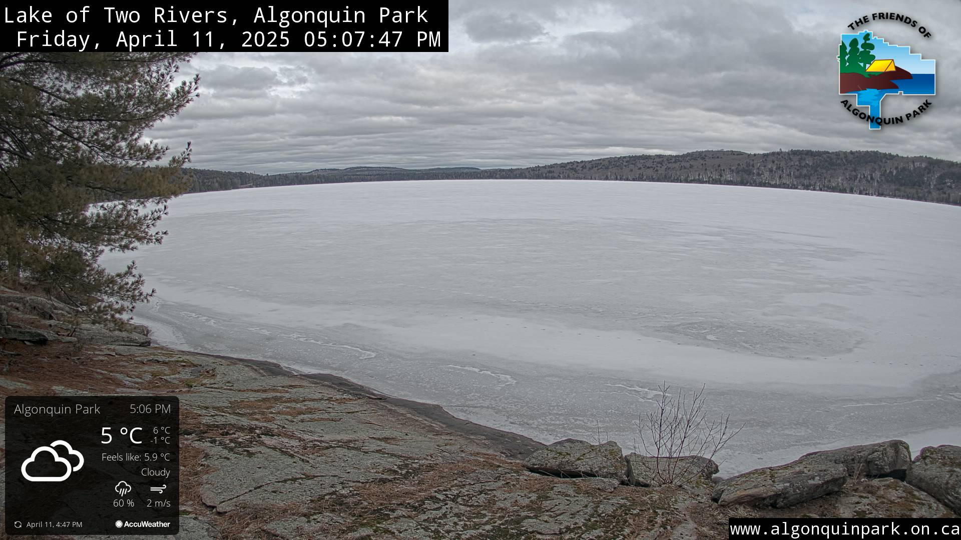 Image: Lake of Two Rivers in Algonquin Park on April 11, 2025 (click to enlarge).