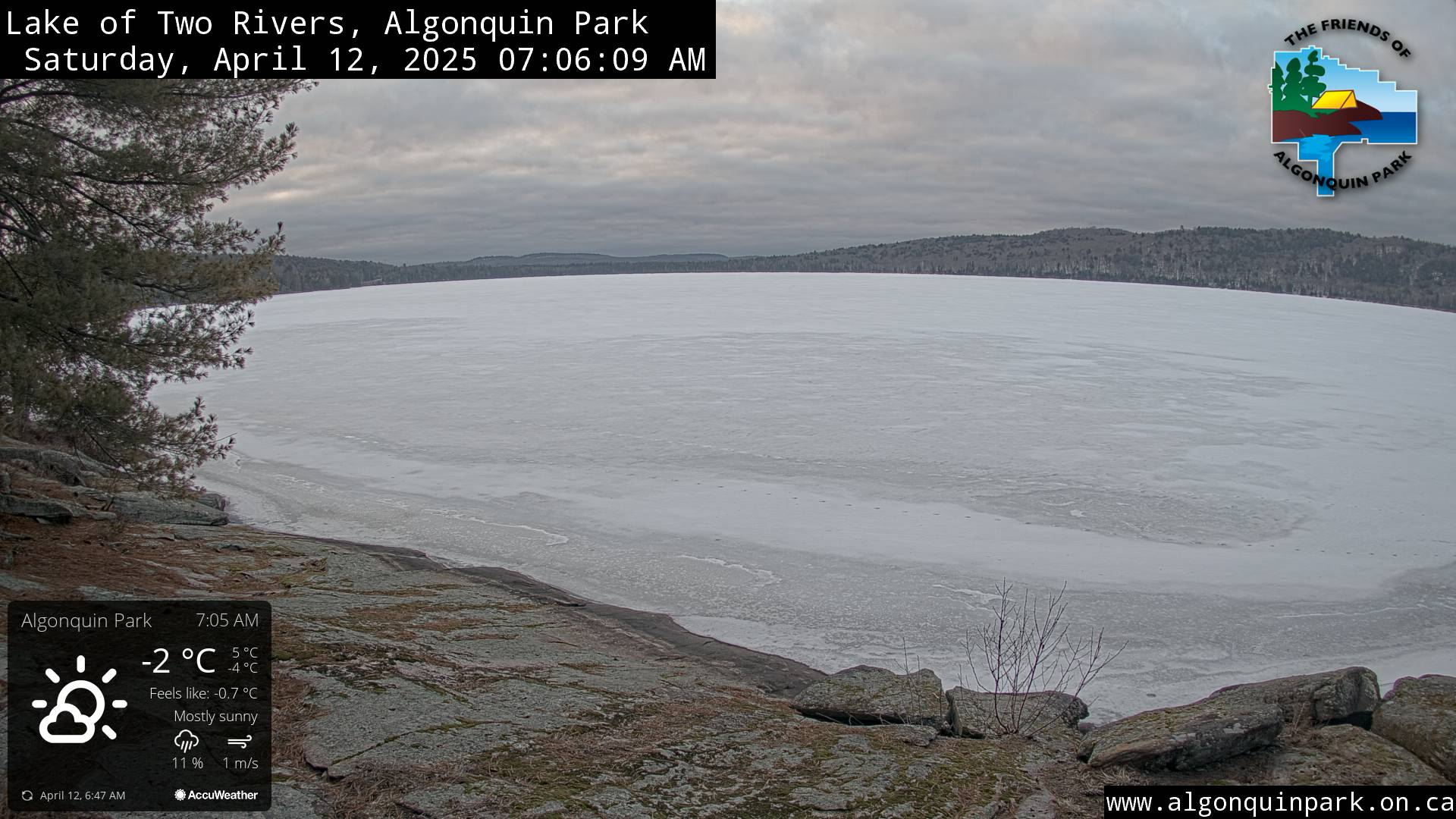 Image: Lake of Two Rivers in Algonquin Park on April 12, 2025 (click to enlarge).