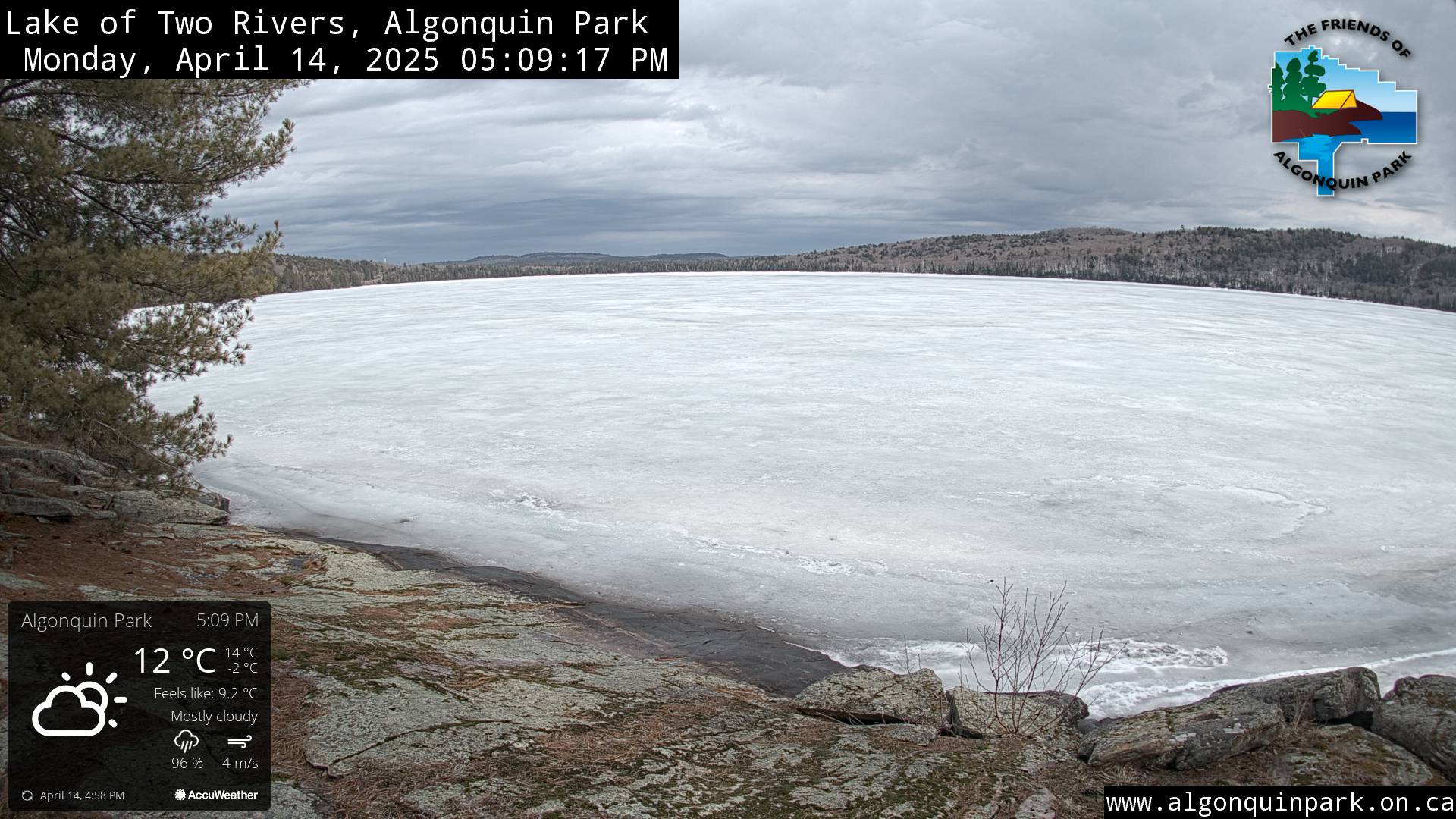 Image: Lake of Two Rivers in Algonquin Park on April 14, 2025 (click to enlarge).
