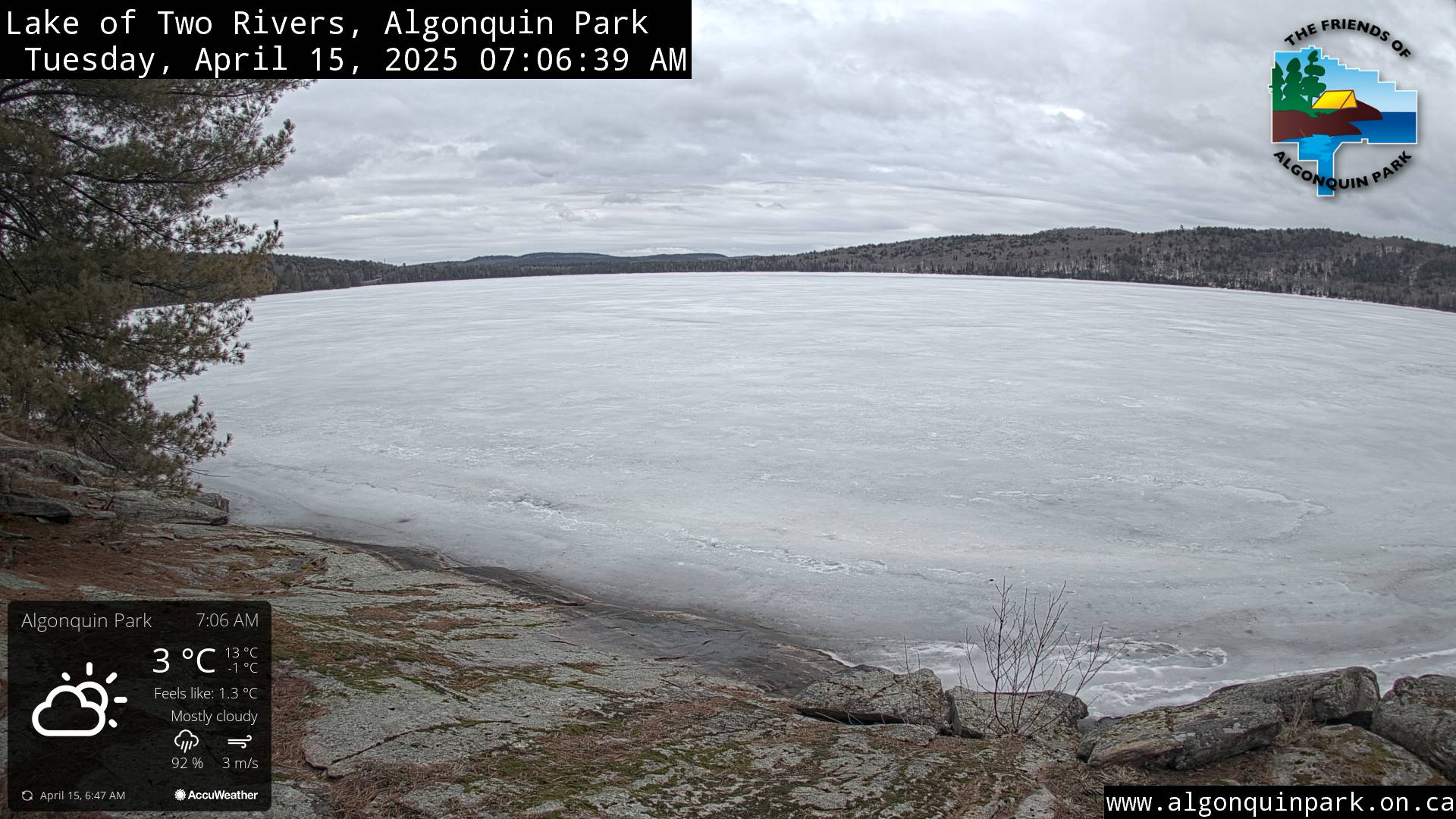 Image: Lake of Two Rivers in Algonquin Park on April 15, 2025 (click to enlarge).