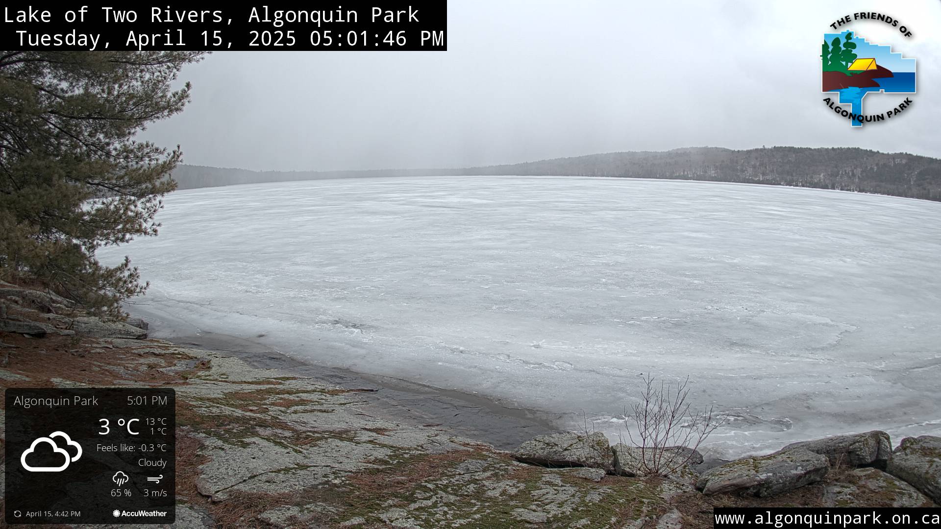 Image: Lake of Two Rivers in Algonquin Park on April 15, 2025 (click to enlarge).