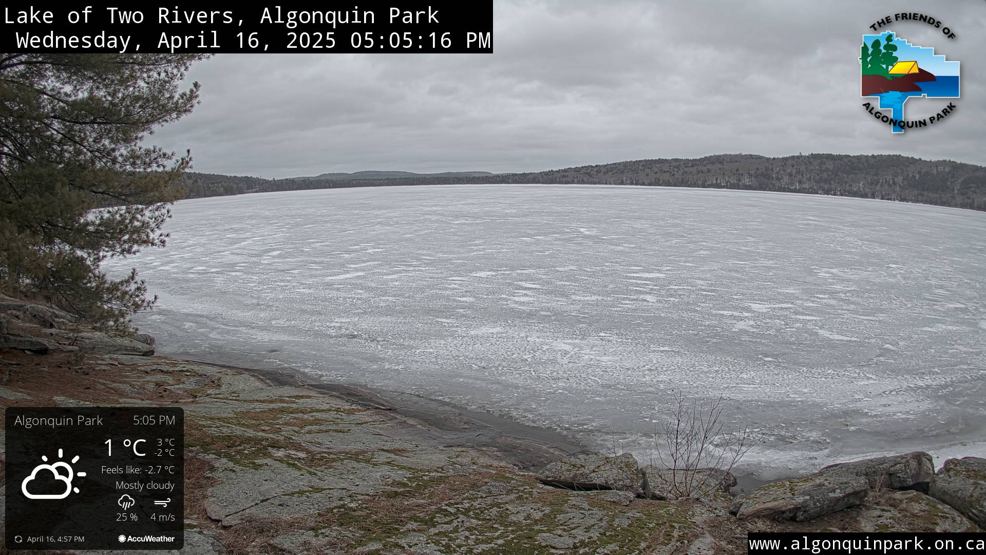 Image: Lake of Two Rivers in Algonquin Park on April 16, 2025 (click to enlarge).