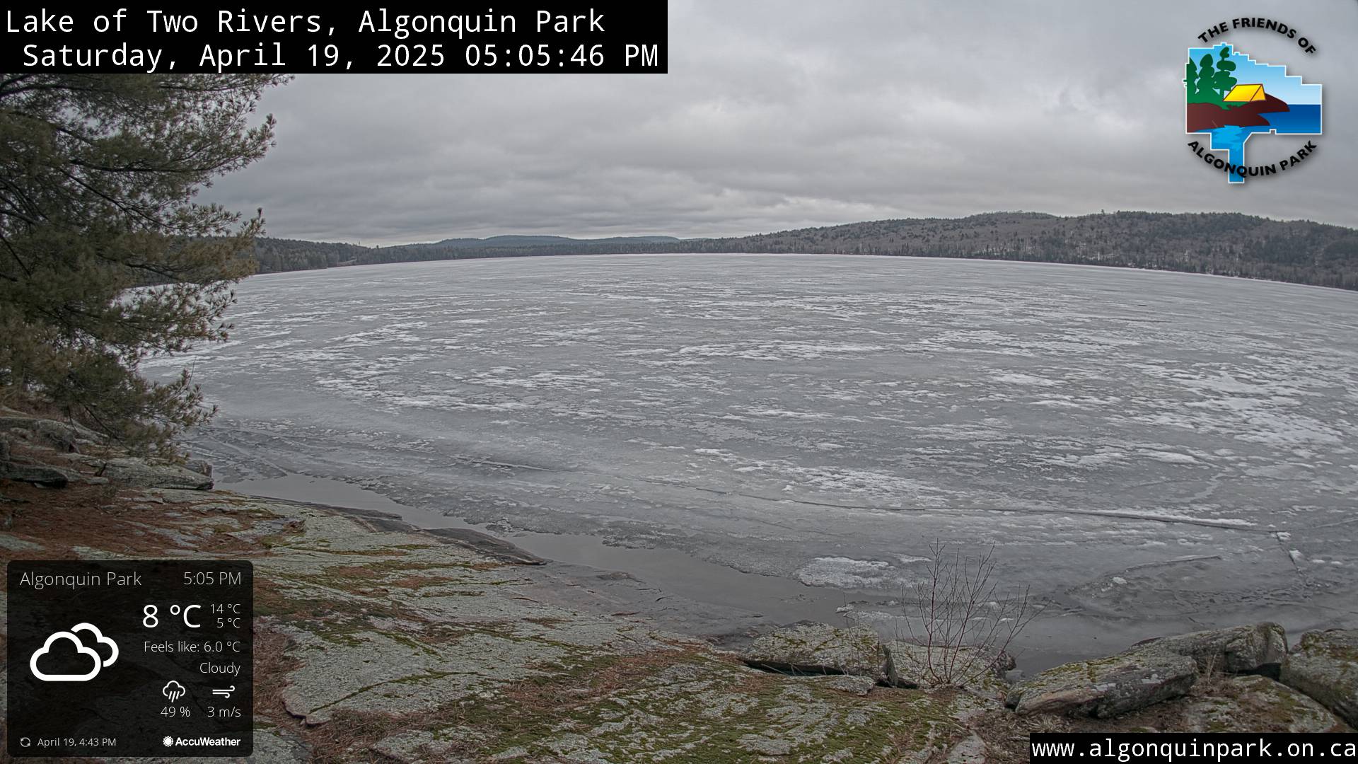 Image: Lake of Two Rivers in Algonquin Park on April 19, 2025 (click to enlarge).