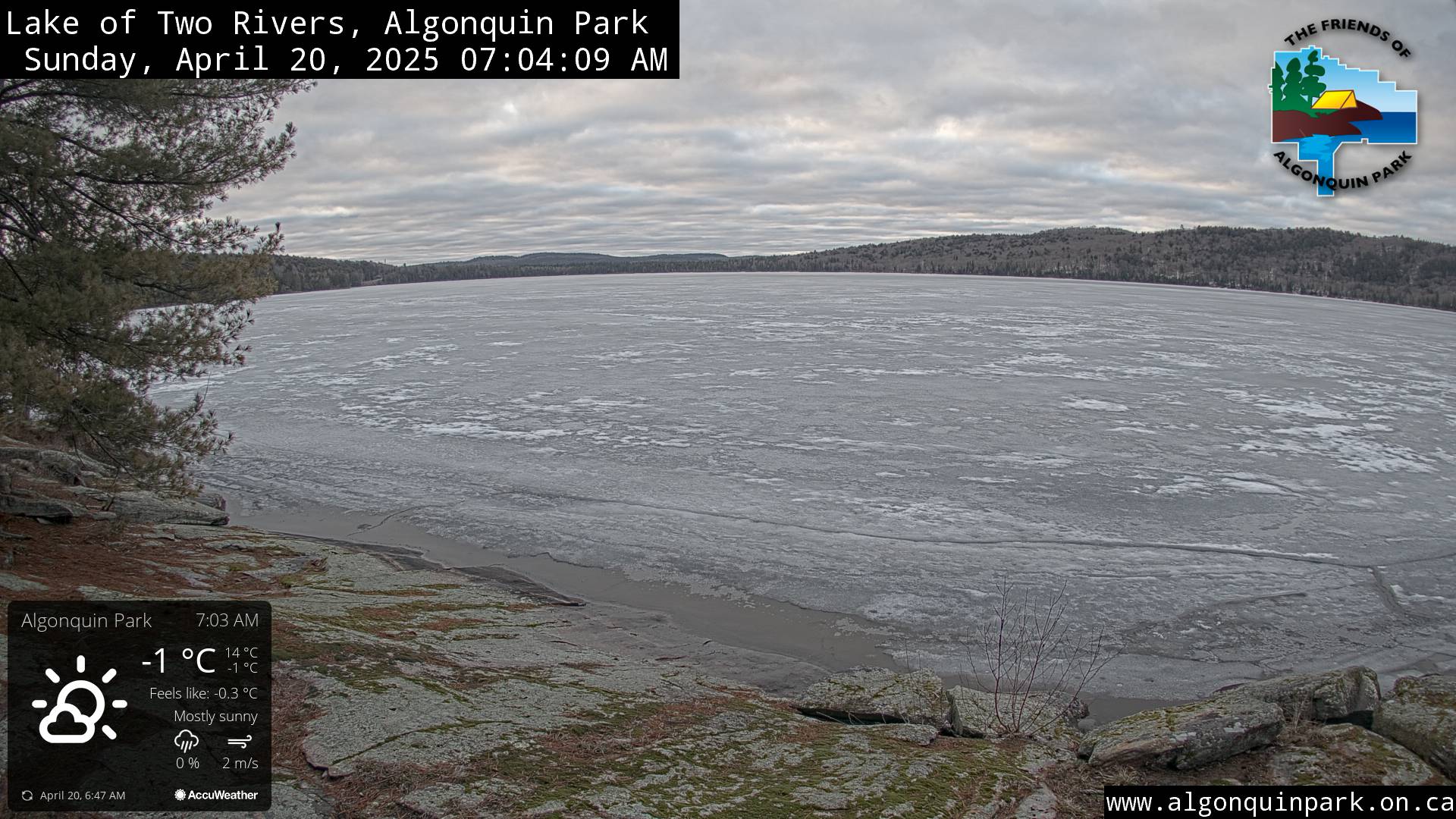Image: Lake of Two Rivers in Algonquin Park on April 20, 2025 (click to enlarge).