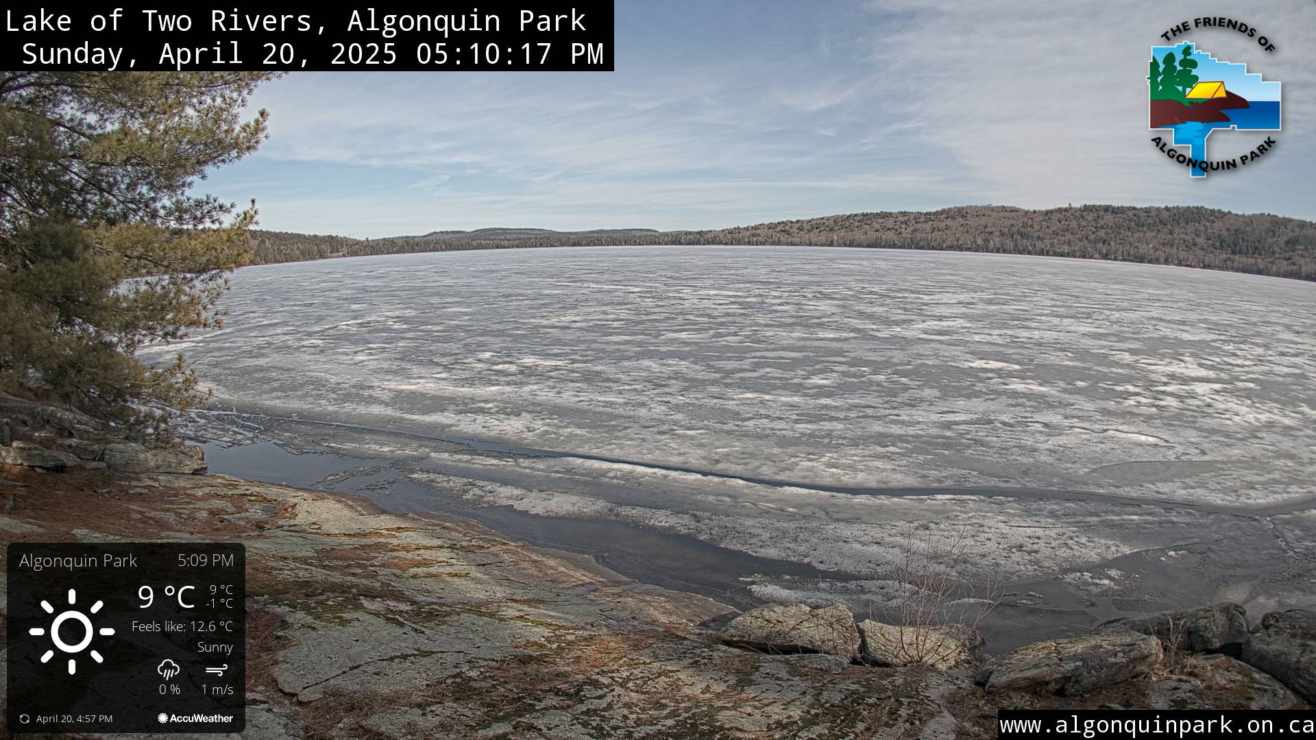 Image: Lake of Two Rivers in Algonquin Park on April 20, 2025 (click to enlarge).