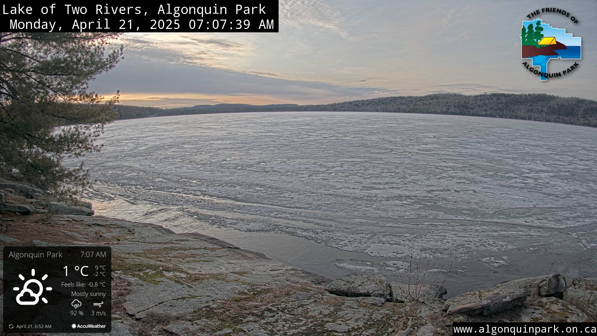 Image: Lake of Two Rivers in Algonquin Park on April 21, 2025 (click to enlarge).