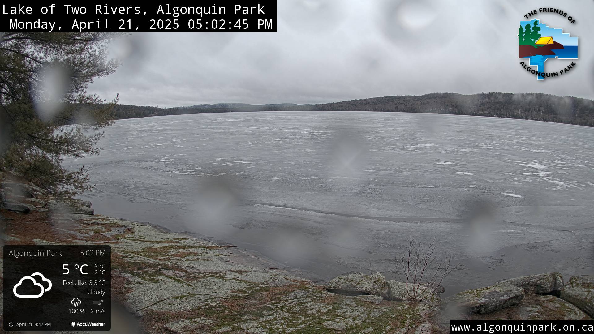 Image: Lake of Two Rivers in Algonquin Park on April 21, 2025 (click to enlarge).