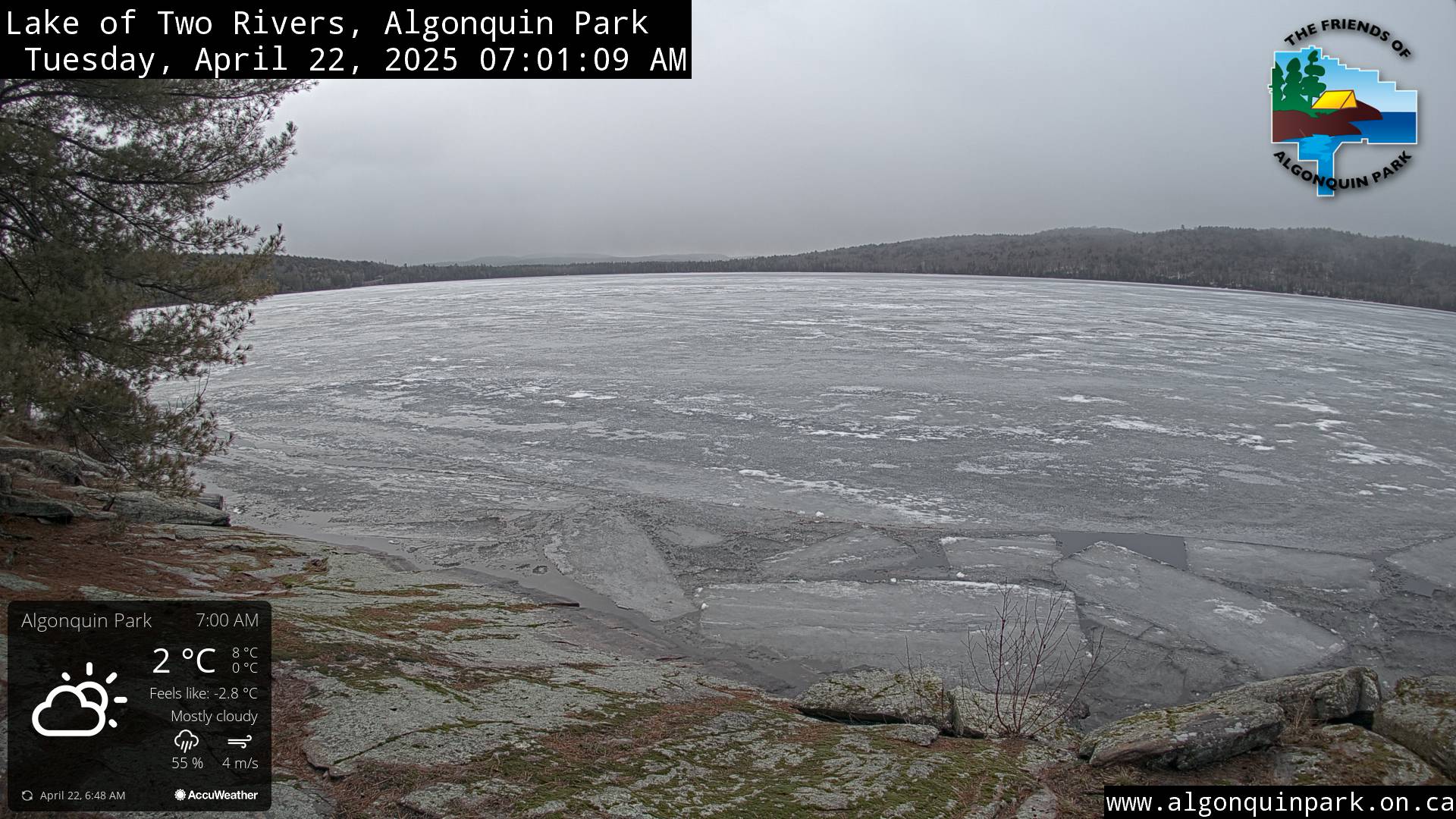 Image: Lake of Two Rivers in Algonquin Park on April 22, 2025 (click to enlarge).