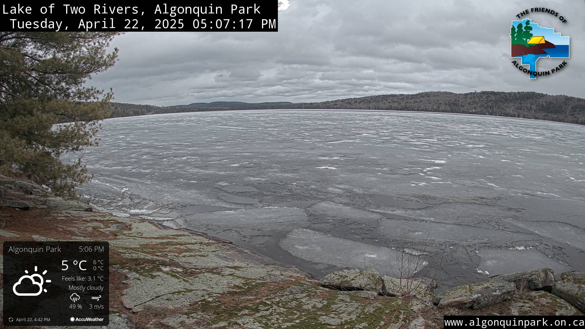 Image: Lake of Two Rivers in Algonquin Park on April 22, 2025 (click to enlarge).