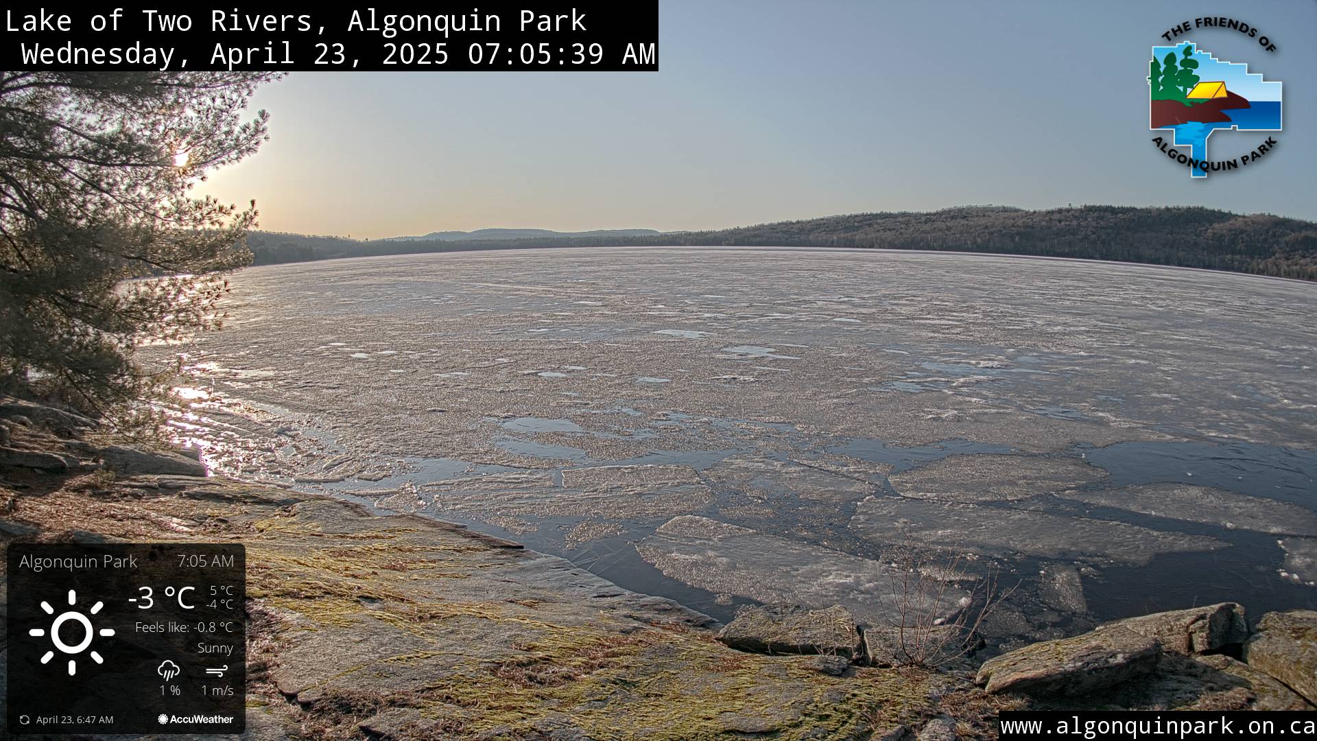 Image: Lake of Two Rivers in Algonquin Park on April 23, 2025 (click to enlarge).