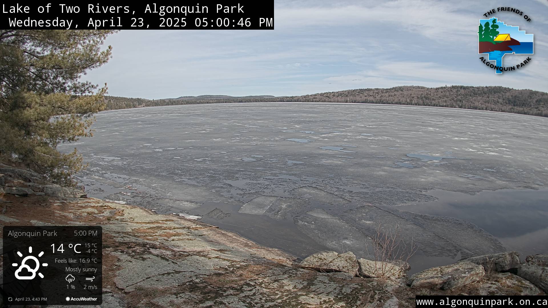 Image: Lake of Two Rivers in Algonquin Park on April 23, 2025 (click to enlarge).
