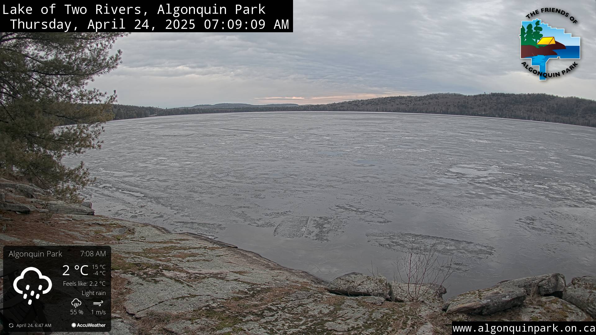 Image: Lake of Two Rivers in Algonquin Park on April 24, 2025 (click to enlarge).