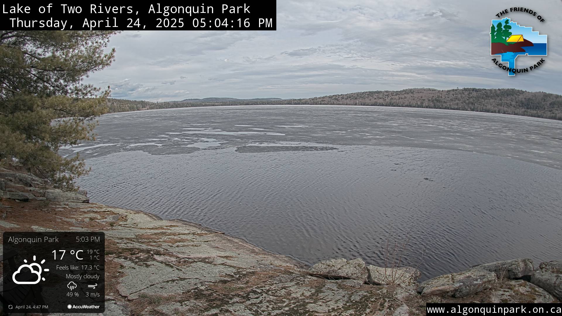 Image: Lake of Two Rivers in Algonquin Park on April 24, 2025 (click to enlarge).