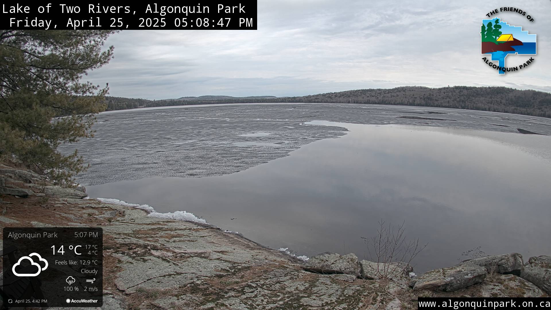 Image: Lake of Two Rivers in Algonquin Park on April 25, 2025 (click to enlarge).