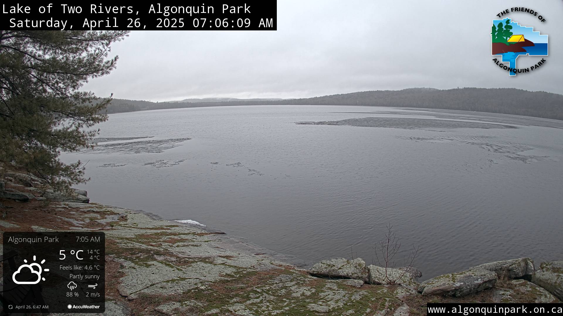 Image: Lake of Two Rivers in Algonquin Park on April 26, 2025 (click to enlarge).